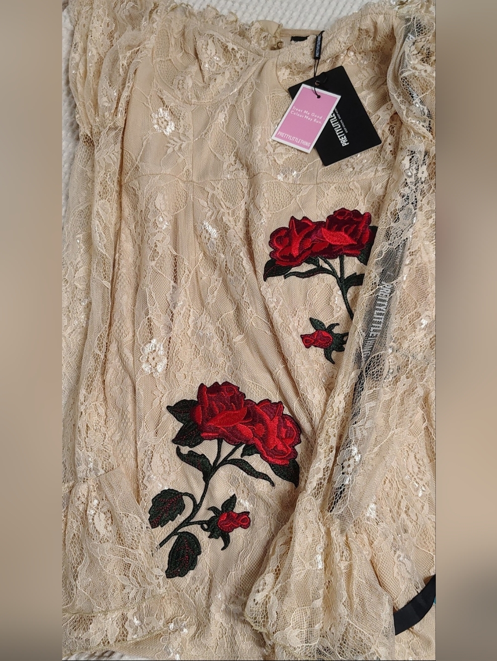 PrettyLittleThing Cream Lace Mini Dress with Red Rose Embroidery - Picture 3 of 5